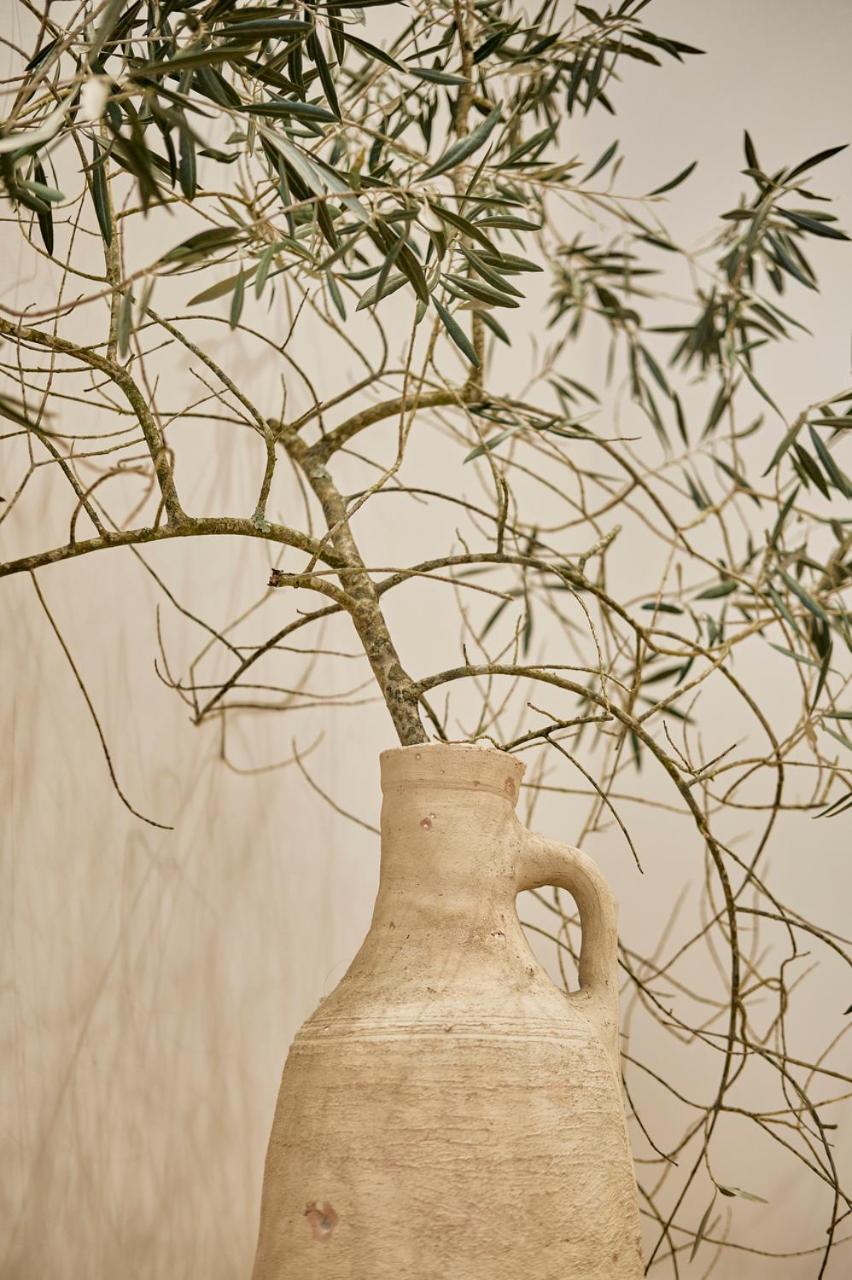 Apartamento Casa Beltane